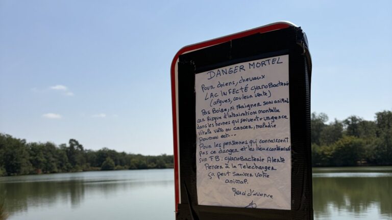 Pollution aux cyanobactéries : des promeneurs inquiets au lac de la Bordette à Pibrac.
