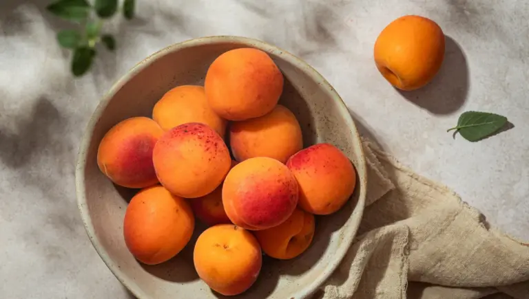 Abricot : techniques de préparation pour confiture, tarte et cuisson à l’huile d’olive