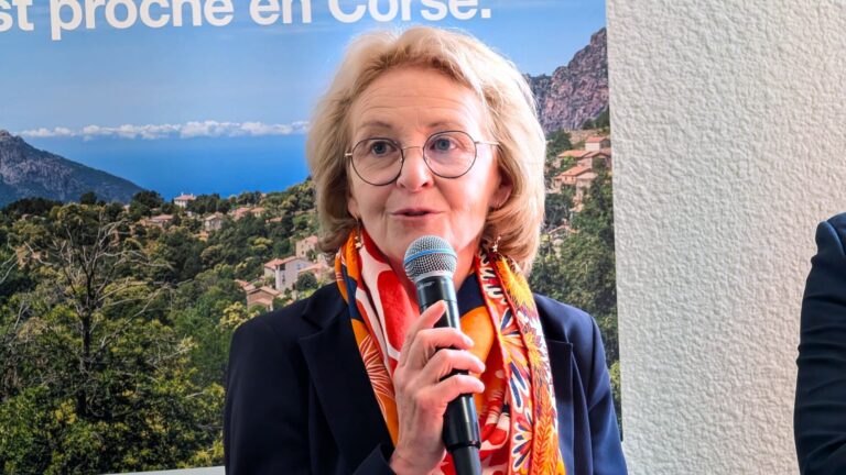 Candidatures ouvertes pour succéder à Laure de la Raudière à la direction de l’ARCEP.