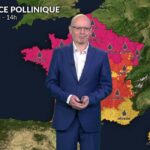 Alerte pollen niveau 5 : chêne et urticacées affectent 80 % du territoire national.