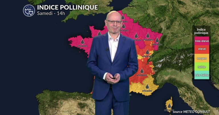 Alerte pollen niveau 5 : chêne et urticacées affectent 80 % du territoire national.