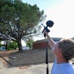 Des habitants près de Toulouse utilisent le paintball pour lutter contre les chenilles processionnaires.