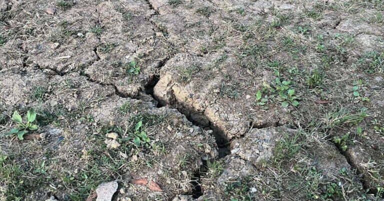 Sécheresse déclarée dans le bassin du Jaur malgré des nappes phréatiques encore pleines dans l’Hérault
