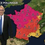 Canicule dans le tiers sud : urticacées et oliviers sous surveillance des agriculteurs.