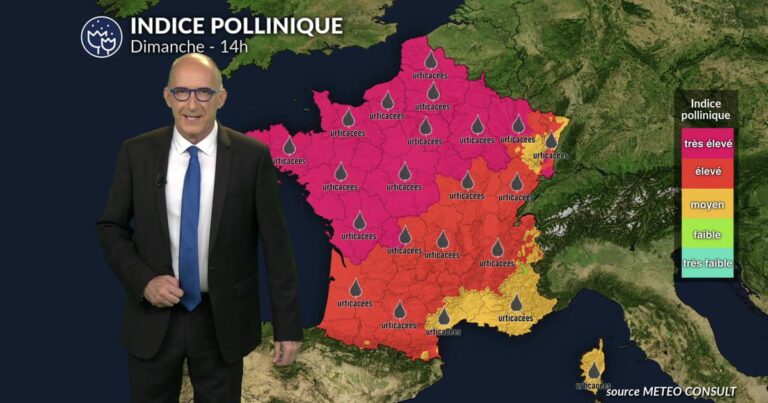 Canicule dans le tiers sud : urticacées et oliviers sous surveillance des agriculteurs.