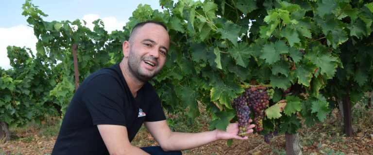 Le muscat de Frontignan remporte une victoire historique pour son AOP à 90 ans.