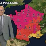 Alerte rouge aux pollens de chêne et urticacées pour la France entière lundi.