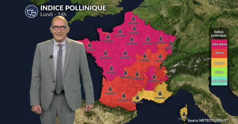 Alerte rouge aux pollens de chêne et urticacées pour la France entière lundi.