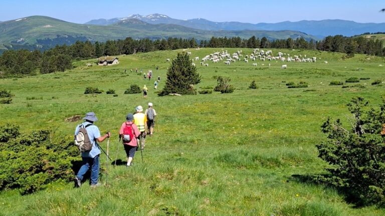 Les Cabannes : 140 seniors participent à une journée dédiée à la forme et au bien-être.