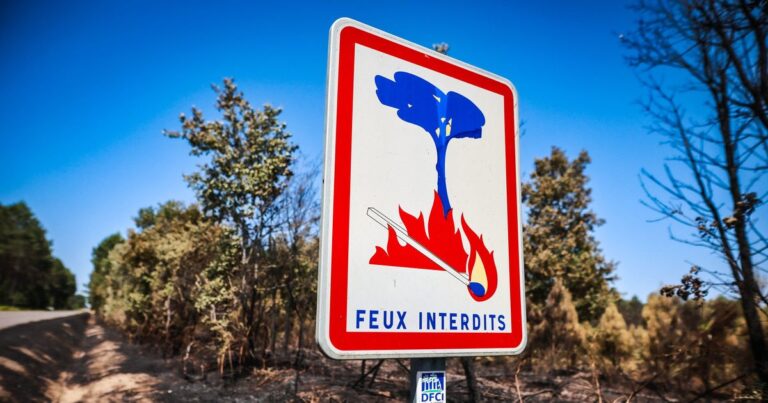 Neuf massifs du Vaucluse interdits d’accès en raison du risque de feux de forêt.