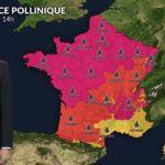 Pollens et allergies : risque élevé pour la santé dans de nombreuses régions du pays.