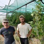 Sécheresse en Haute-Garonne : les maraîchers de Blagnac luttent contre la perte de récoltes.