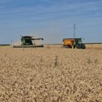 Sécheresse et canicules : conséquences sur les prix agricoles en France.