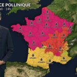Alerte maximale pour les allergies : pollens d&rsquo;urticacées dominants ce mercredi.