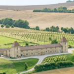 Domaine haut de gamme près de Toulouse propose un verger à champignons pâturé par des moutons.