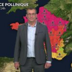 Pollens et allergies : indices polliniques très élevés observés dans le nord.