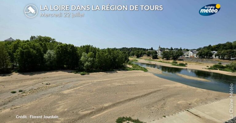 Chaleur et sécheresse en France : conséquences sur l’agriculture et l’eau potable.