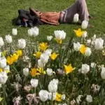 Les règles de l&rsquo;art pour une sieste optimale selon des études de santé publique.