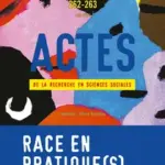 Race en pratique : analyse des recherches en sciences sociales sur les inégalités raciales en France.