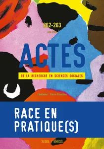 Race en pratique : analyse des recherches en sciences sociales sur les inégalités raciales en France.