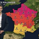 Pollens et allergies : conditions climatiques favorisent la dispersion des pollens en France.