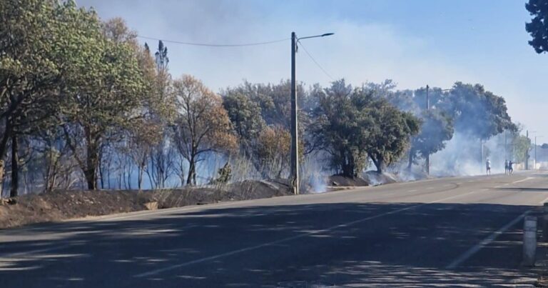 Incendie à Sorgues : vingt hectares brûlés, deux blessés dans l’intervention des secours.
