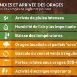 Incendies en Aquitaine : les orages de ce soir risquent d&rsquo;aggraver la situation.