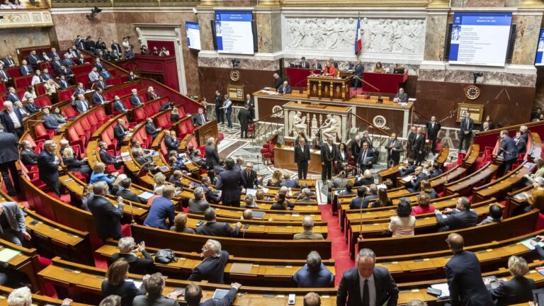 Annie Messina affirme que l’acétamipride nuit à la santé et cible une députée RN.