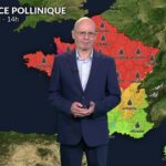 Allergies aux pollens : orages attendus dans le sud, risques accrus pour les allergiques