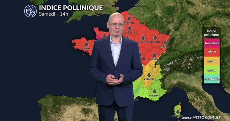 Allergies aux pollens : orages attendus dans le sud, risques accrus pour les allergiques
