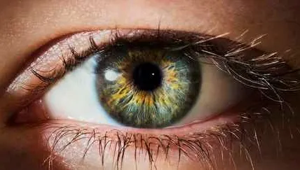 Les yeux clairs montrent une sensibilité accrue aux variations de lumière, selon des études.