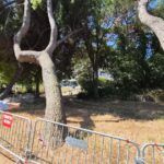 Colère des habitants de Marseille contre les projets d’aménagement du parc de Bonneveine