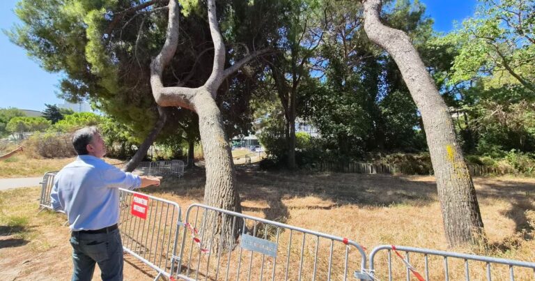 Colère des habitants de Marseille contre les projets d’aménagement du parc de Bonneveine