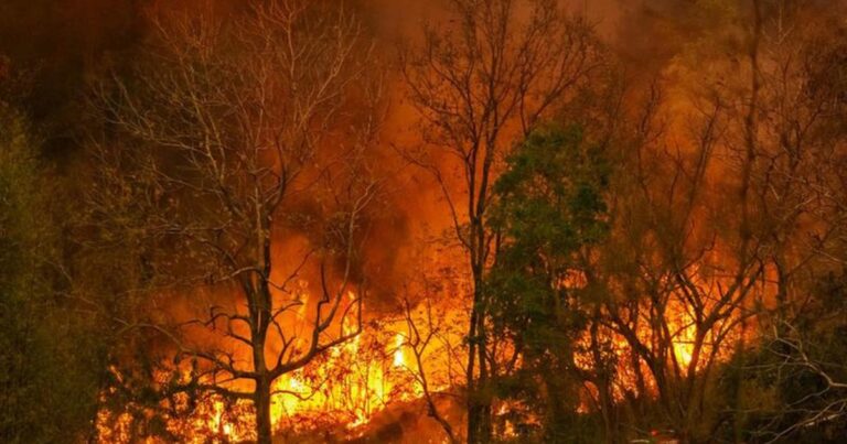 Incendies en Gironde : situation critique pour les pompiers près de Bordeaux.