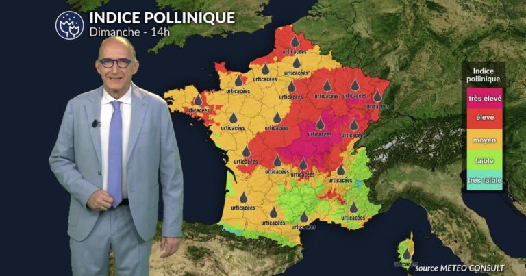 Alerte pollens niveau 5 : dispersion des orties et graminées sur le nord et l’est de la France.