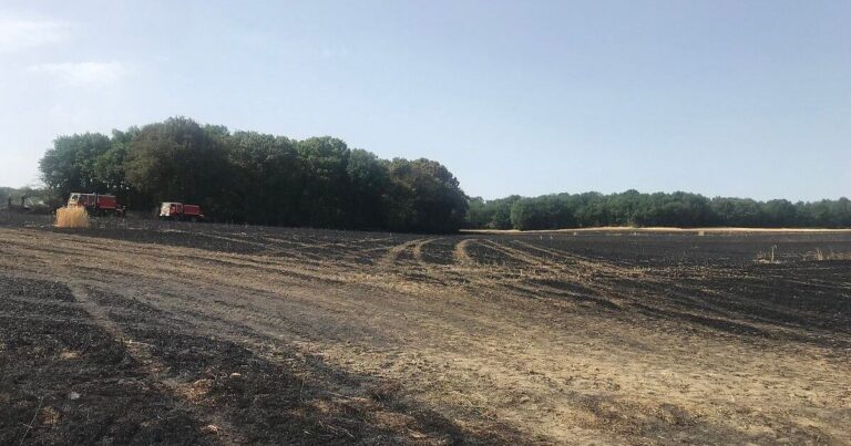 Incendie près de Saint-Valery-en-Caux : 10 hectares brûlés, intervention des pompiers en cours.