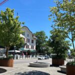 Des arbres mobiles installés en Suisse pour atténuer la chaleur urbaine durant la canicule.