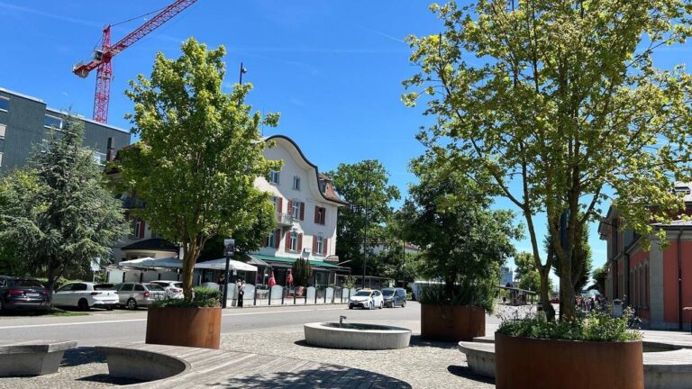 Des arbres mobiles installés en Suisse pour atténuer la chaleur urbaine durant la canicule.