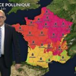 Pollens : situation modérée en France, urticacées toujours en hausse.