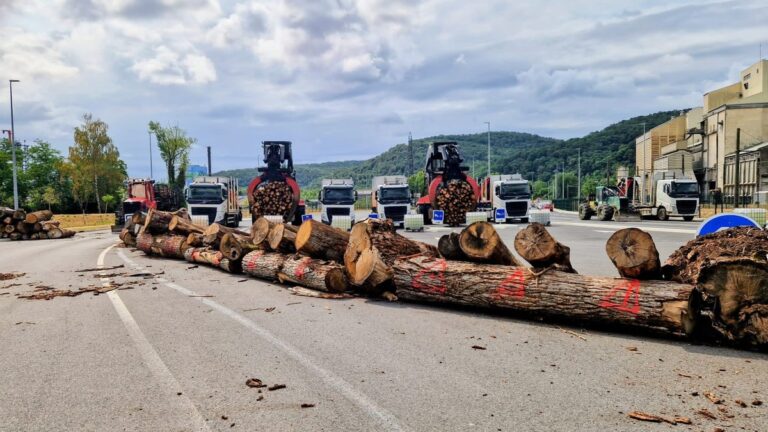 Fibre Excellence : les salariés renforcent le blocage de l’usine avant le jugement.
