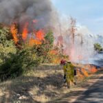 Incendies en Gironde : l’utilisation du feu tactique pour maîtriser les flammes.