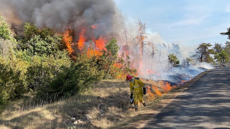 Incendies en Gironde : l’utilisation du feu tactique pour maîtriser les flammes.