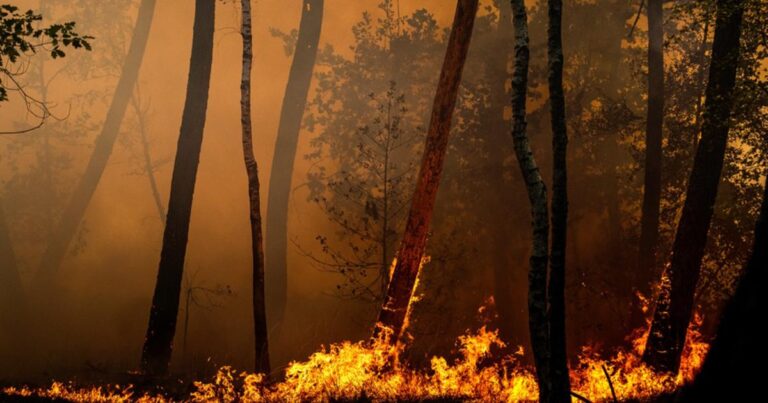 Incendies en France : accalmie temporaire avant une nouvelle vague de chaleur.