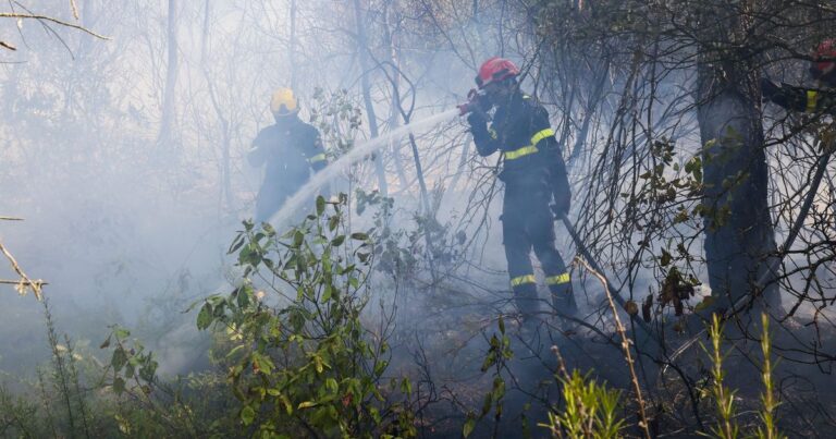 Incendie dans le Var : 4.500 hectares brûlés, le feu toujours non maîtrisé.