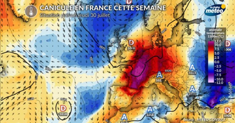 Canicule en France : records de température attendus dans l’est du pays cette semaine