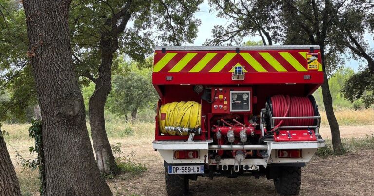 Incendie à Sainte-Cécile-les-Vignes : quatre hectares de végétation brûlés