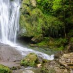 Gourdes filtrantes : recommandations après des intoxications dans les Hautes-Pyrénées.
