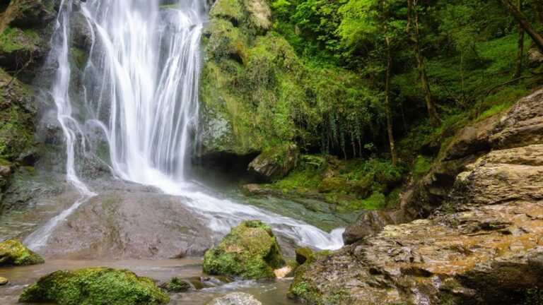 Gourdes filtrantes : recommandations après des intoxications dans les Hautes-Pyrénées.