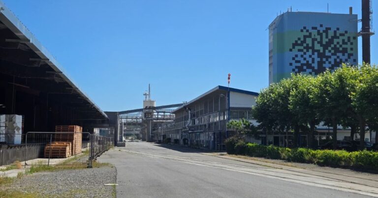Fibre Excellence : l’usine de Saint-Gaudens bénéficie d’un court sursis, liquidation à Tarascon.