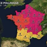 Pollens et allergies : risque très élevé en France avec le pic de chaleur actuel